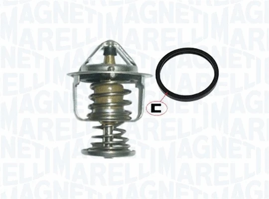 Thermostat, coolant (352317001550)