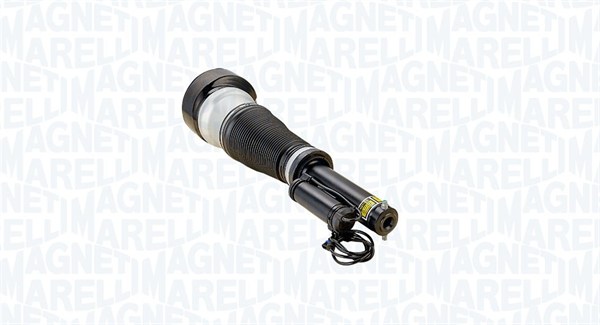Air Suspension Strut (350491300001)