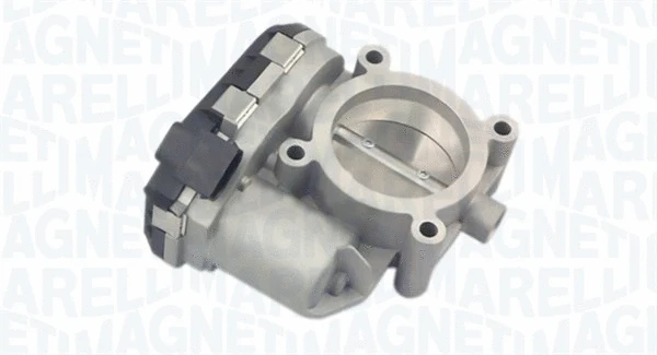Throttle Body (802000000074)