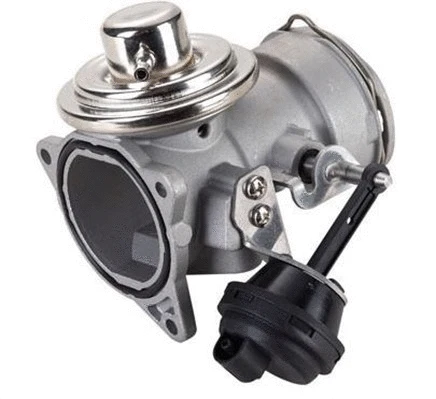 EGR Valve (359000603910)