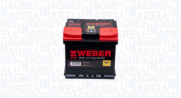Starter Battery