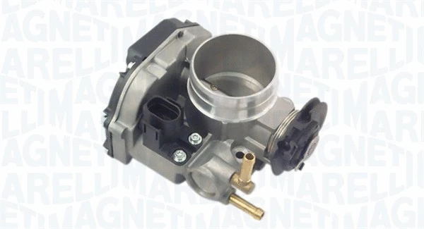 Throttle Body (802000000086)