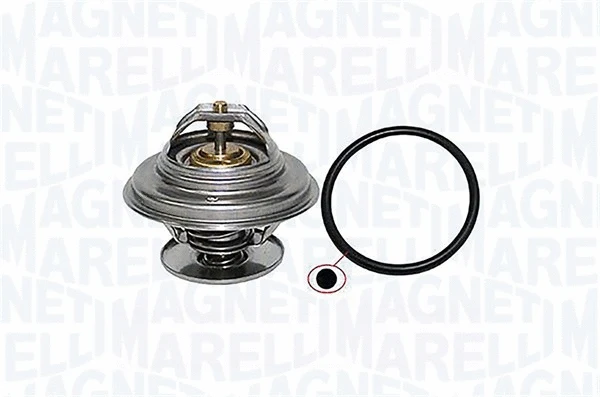 Thermostat, coolant (352317000650)
