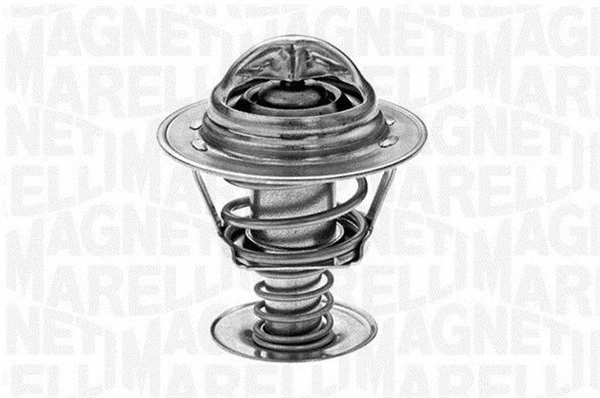 Thermostat, coolant (352021388000)