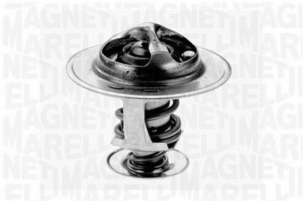 Thermostat, coolant (352037382000)