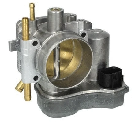 Throttle Body (359000602460)