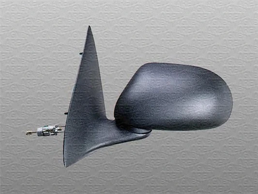 Exterior Mirror (350314023450)