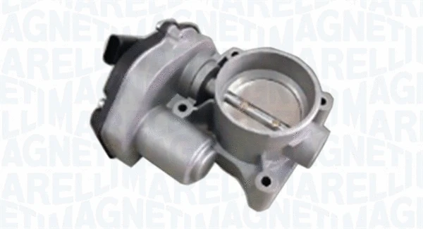 Throttle Body (802000000069)