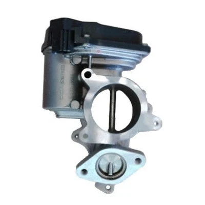 EGR Valve (571822112037)