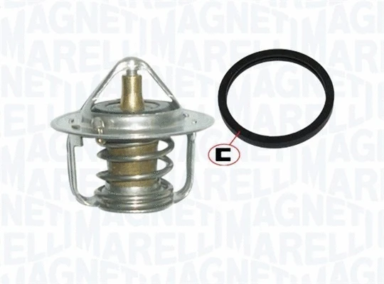 Thermostat, coolant (352317101890)