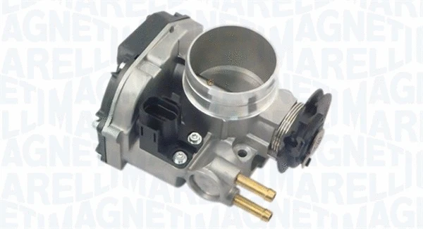 Throttle Body (802000000091)
