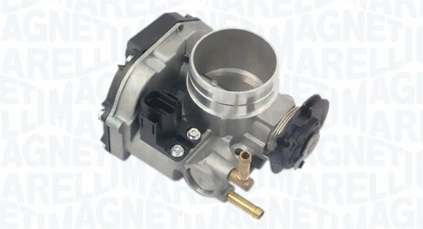 Throttle Body (802000000044)