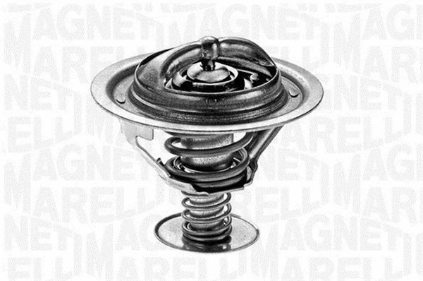 Thermostat, coolant (352029782000)