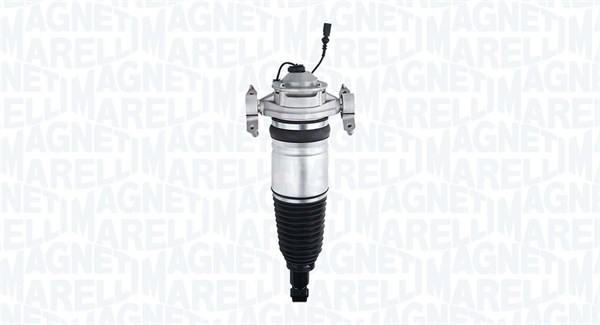 Air Suspension Strut (350052100001)