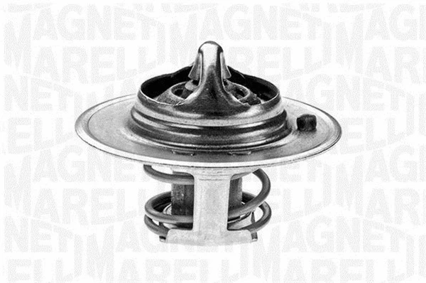 Thermostat, coolant (352020188100)