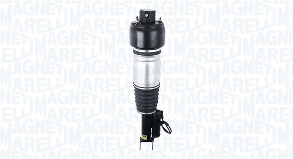 Air Suspension Strut (350551300001)