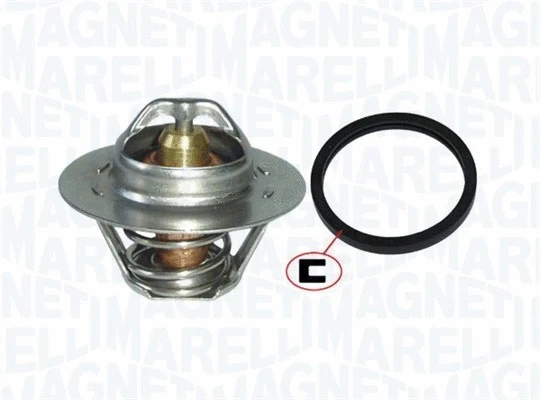 Thermostat, coolant (352317101020)