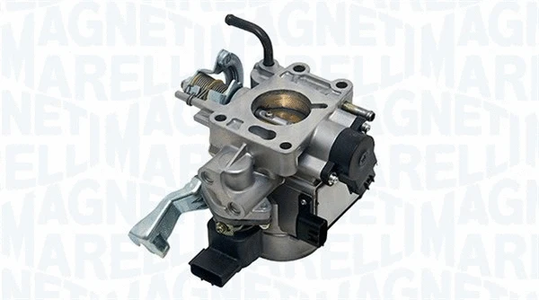 Throttle Body (802000000007)