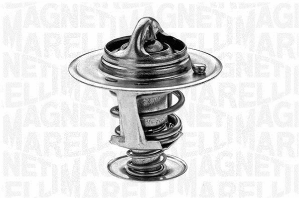 Thermostat, coolant (352032877000)
