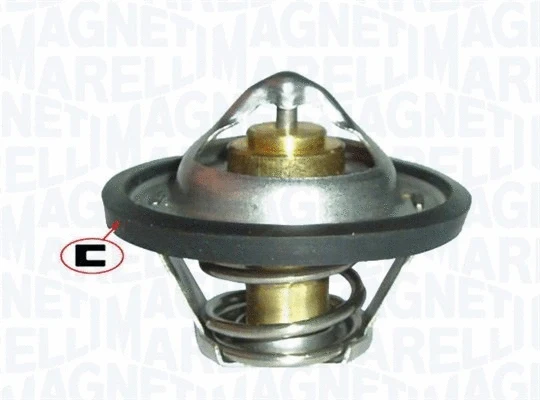 Thermostat, coolant (352317100860)