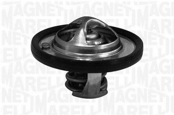 Thermostat, coolant (352064782000)