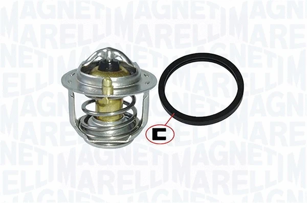Thermostat, coolant (352317000790)