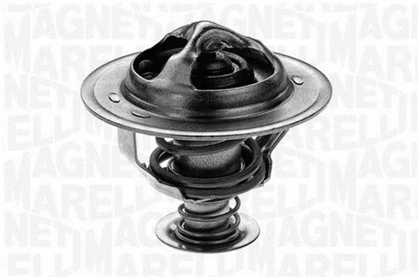 Thermostat, coolant (352053585000)
