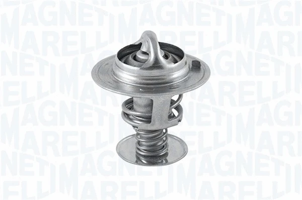 Thermostat, coolant (352022282000)