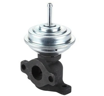 EGR Valve (571822112075)