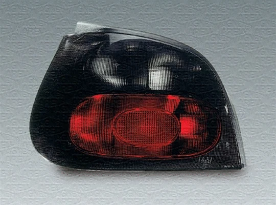 Tail Light Assembly (714025281701)