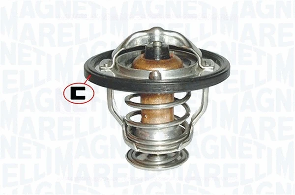 Thermostat, coolant (352317000810)