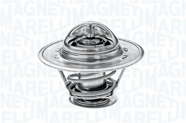 Thermostat, coolant (352055282000)