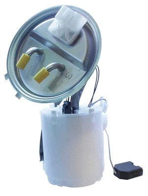 Fuel Supply Module (313011313079)