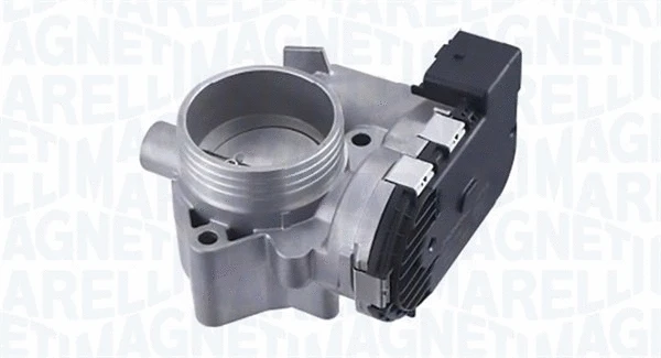 Throttle Body (802000000064)