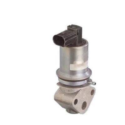 EGR Valve (571822112011)