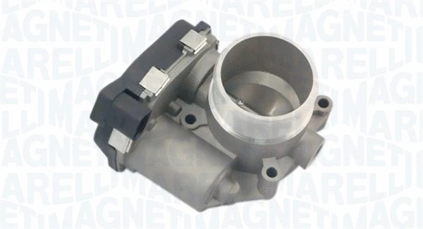 Throttle Body (802000000043)