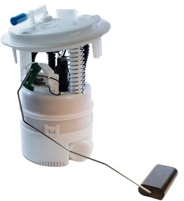 Fuel Supply Module (313011313067)