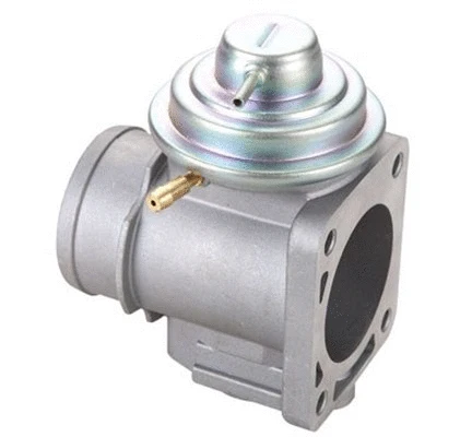 EGR Valve (571822112087)