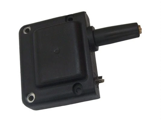 Ignition Coil (060717075012)