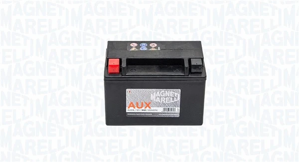 Starter Battery