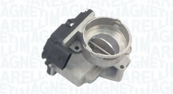 Throttle Body (802000000026)