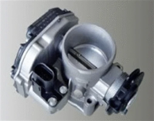 Throttle Body (359000602850)