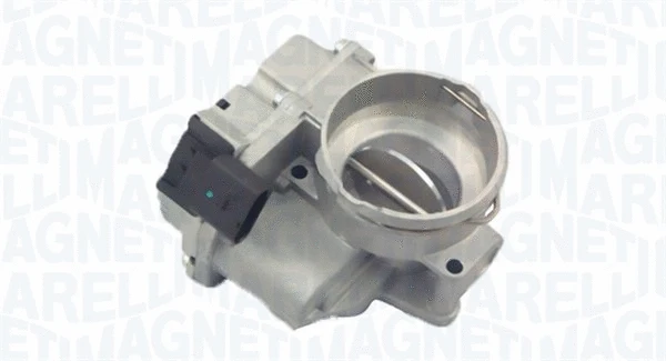 Throttle Body (802000000029)