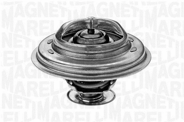 Thermostat, coolant (352024979000)