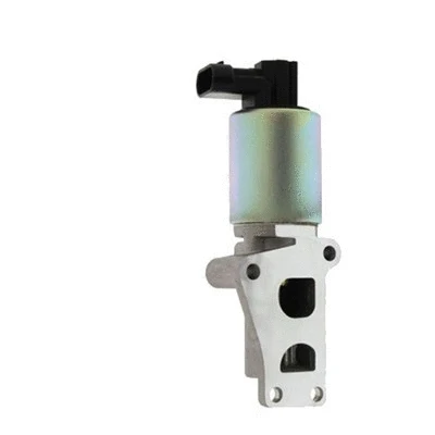 EGR Valve (571822112023)