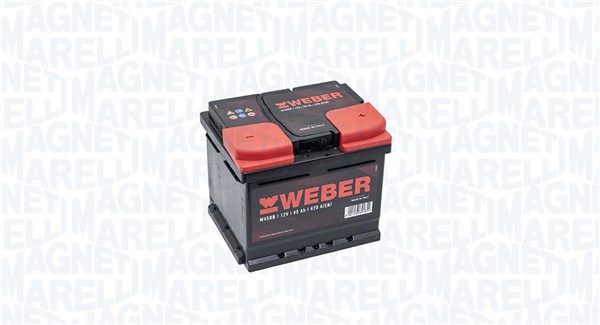 Starter Battery (067045420001)