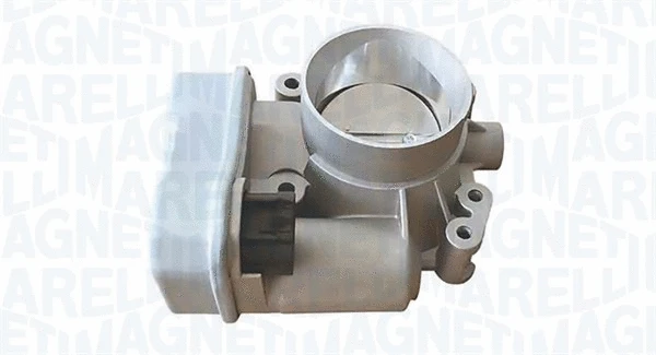 Throttle Body (802000000075)