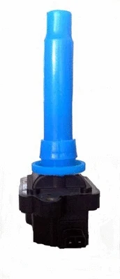 Ignition Coil (060717096012)