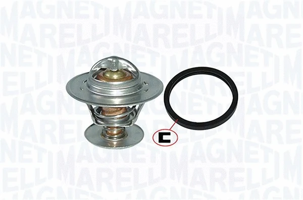 Thermostat, coolant (352317001300)