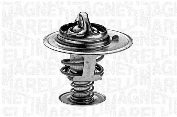 Thermostat, coolant (352024282000)